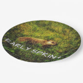 Frühjahrs-Teller Pappteller (Schrägansicht)