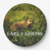 Frühjahrs-Teller Pappteller (Vorderseite)