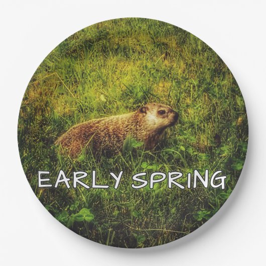 Frühjahrs-Teller Pappteller (Vorderseite)