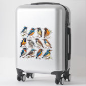 Frühjahrs-Vogel-Illustrations-Sticker-Pack 🐦 Aufkleber (Koffer)