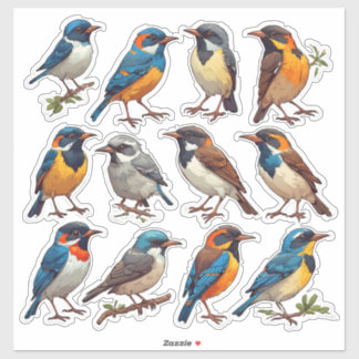 Frühjahrs-Vogel-Illustrations-Sticker-Pack 🐦 Aufkleber