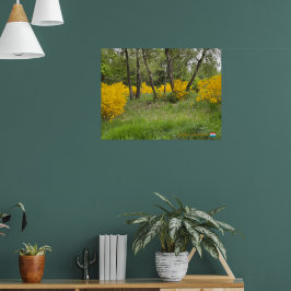 Frühjahrs Wald in Luxemburg Reise Poster