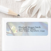 Frühjahrsadressen-Etikett (Insitu)