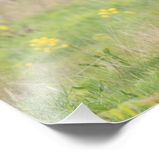 Frühjahrsausgabe der Türkei - 2 Fotodruck (Ecke)