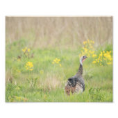 Frühjahrsausgabe der Türkei - 2 Fotodruck (Vorne)