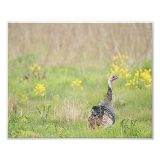 Frühjahrsausgabe der Türkei - 2 Fotodruck (Vorne)