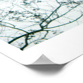 Frühjahrsauslauf/Kirschblüten Foto-Print Poster (Ecke)