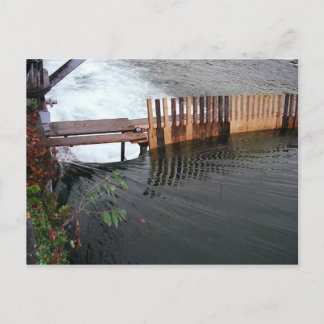 Frühjahrsauslauf Postkarte