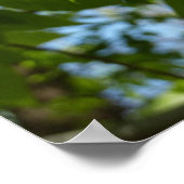 Frühjahrsbirkenblätter Grüner Baum Poster (Ecke)
