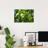 Frühjahrsbirkenblätter Grüner Baum Poster (Heimbüro)