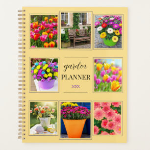Frühjahrsblumen Sommergarten Pflanze Jährlicher Ga Planer