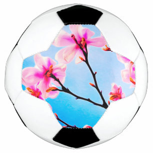 Frühjahrsblüte Fußball