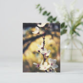 Frühjahrsblüte Postkarte (Stehend Vorderseite)