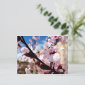Frühjahrsblüte Postkarte (Stehend Vorderseite)