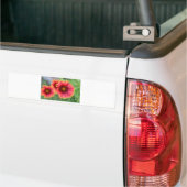 Frühjahrsblüte Pt 2 Autoaufkleber (Auf Lkw)
