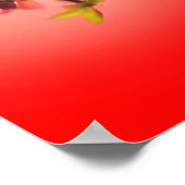 Frühjahrsblüte über rotem Hintergrund Poster (Ecke)