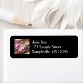 Frühjahrsblüten auf Zion Rocks (Insitu)