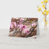 Frühjahrsblüten auf Zion Rocks Karte (Gelbe Blume)