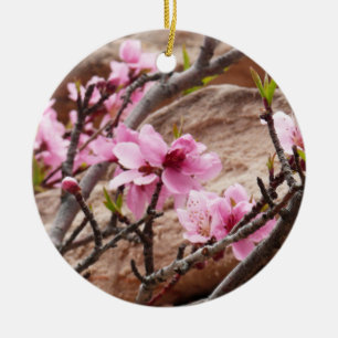 Frühjahrsblüten auf Zion Rocks Keramikornament