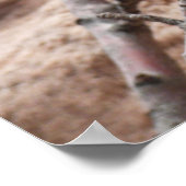 Frühjahrsblüten auf Zion Rocks Poster (Ecke)