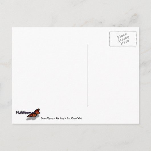 Frühjahrsblüten auf Zion Rocks Postkarte (Rückseite)