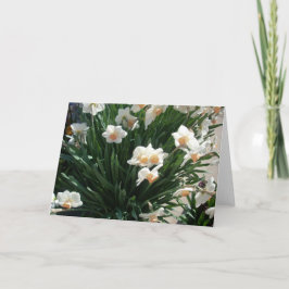 Frühjahrsblüten Drei Feiertagskarte