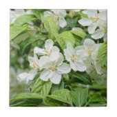 Frühjahrsblüten Fliese (Vorderseite)