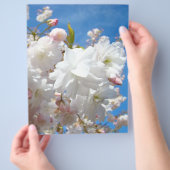 Frühjahrsblüten Flyer Papier Blue Sky Blume (Hand)