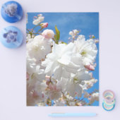 Frühjahrsblüten Flyer Papier Blue Sky Blume (Einzeln)