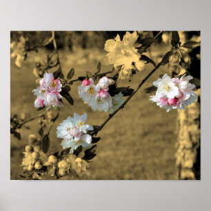 Frühjahrsblüten in Vintager Sepia-Teilfarbe Poster