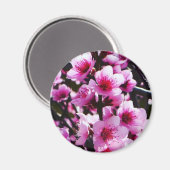 Frühjahrsblüten Magnet (Vorderseite/Rückseite)