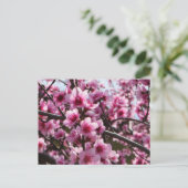 Frühjahrsblüten Postkarte (Stehend Vorderseite)