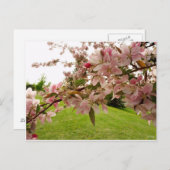 Frühjahrsblüten Postkarte (Vorne/Hinten)