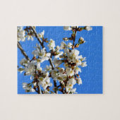 Frühjahrsblüten Puzzle (Horizontal)