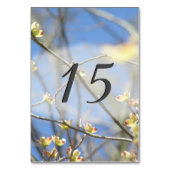 Frühjahrsblüten Tischnummer (Rückseite)