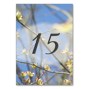 Frühjahrsblüten Tischnummer