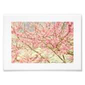 Frühjahrsblüten Vintag Fotodruck (Vorne)