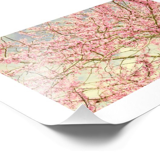 Frühjahrsblüten Vintag Fotodruck (Ecke)