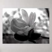 Frühjahrsblütendruck Poster (Vorne)