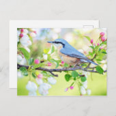 Frühjahrsblutvogel mit rosa Blume Postkarte (Vorne/Hinten)