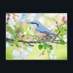Frühjahrsblutvogel mit rosa Blume Postkarte<br><div class="desc">Spring Bird Blue Bird mit Pink Blume Postcard. Sie können Ihre eigene personalisierte Postkarte erstellen,  indem Sie ein Foto von Ihrem Computer hinzufügen,  oder Ihren eigenen Namen oder Initial als Monogramm hinzufügen. Perfektes Geschenk für diejenigen,  die etwas Unikates suchen.</div>