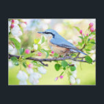 Frühjahrsblutvogel mit rosa Blume Postkarte<br><div class="desc">Spring Bird Blue Bird mit Pink Blume Postcard. Sie können Ihre eigene personalisierte Postkarte erstellen,  indem Sie ein Foto von Ihrem Computer hinzufügen,  oder Ihren eigenen Namen oder Initial als Monogramm hinzufügen. Perfektes Geschenk für diejenigen,  die etwas Unikates suchen.</div>