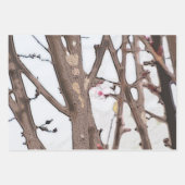 Frühjahrsbroschüre Faltpapier Flachblatt Set 3 Geschenkpapier Set (Vorderseite 2)