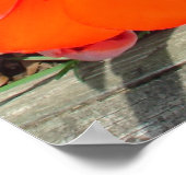 Frühjahrsbrust Poster (Ecke)