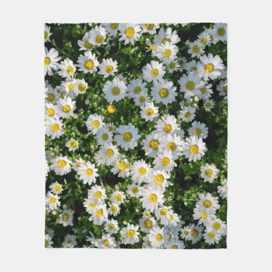 Frühjahrsdaisy Field: Serene Hintergrund Fleecedecke (Vorderseite)