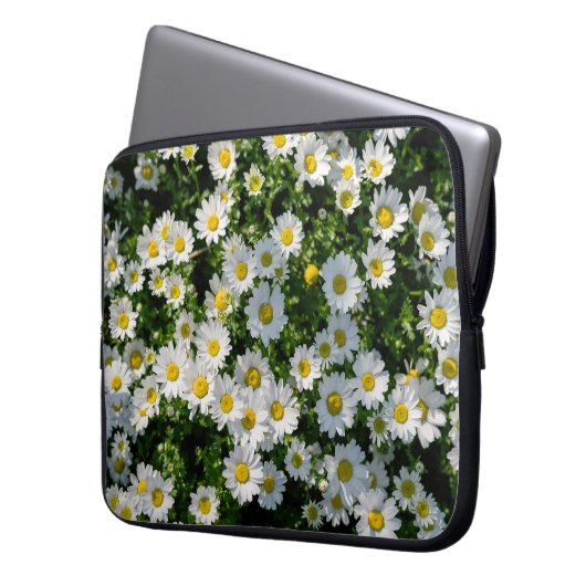 Frühjahrsdaisy Field: Serene Hintergrund Laptopschutzhülle (Vorderseite Links)