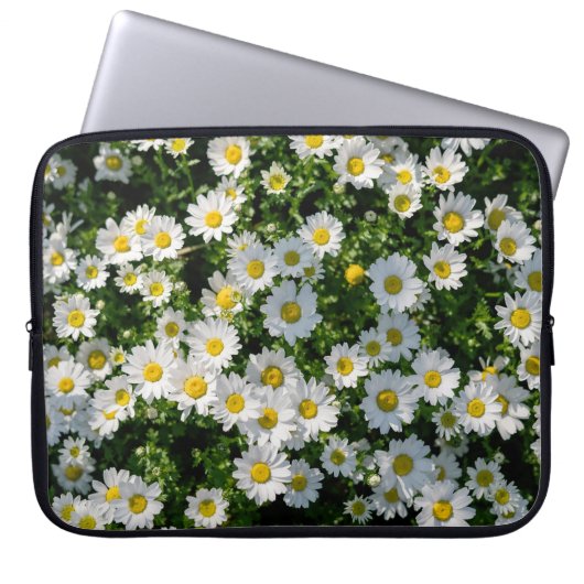 Frühjahrsdaisy Field: Serene Hintergrund Laptopschutzhülle (Vorderseite)