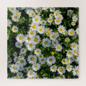Frühjahrsdaisy Field: Serene Hintergrund Puzzle (Horizontal)