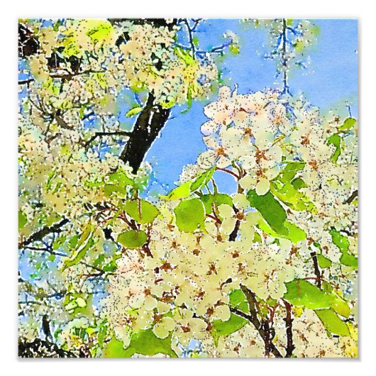 Frühjahrserblühende Bäume Wasserfarbe Foto Erweite (Vorne)