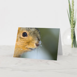 Frühjahrsfertig Karte